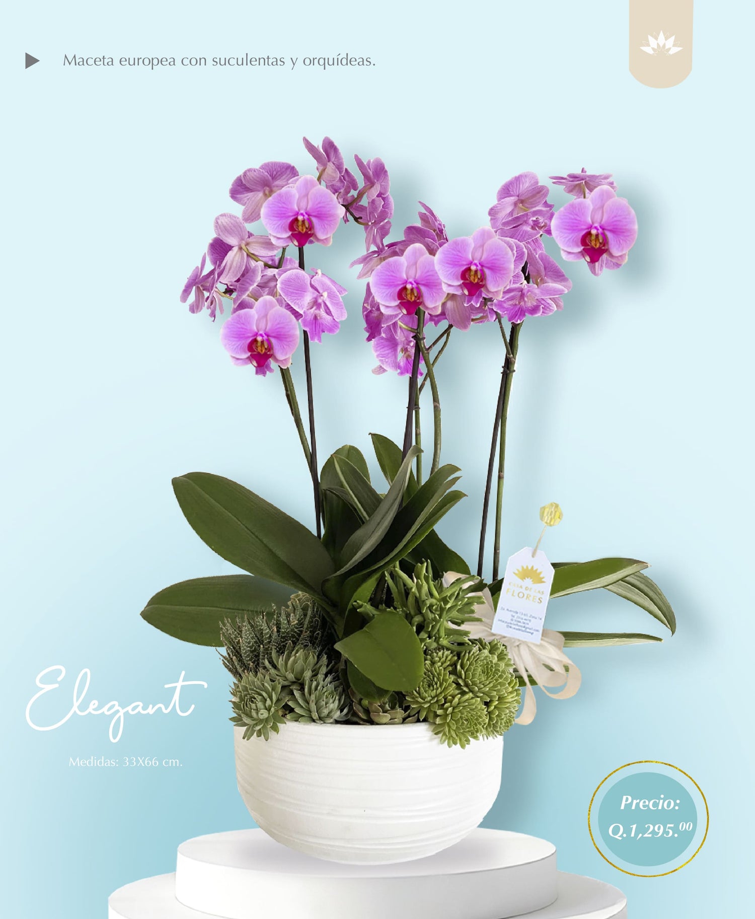 Arreglo Elegant 33x66x cm