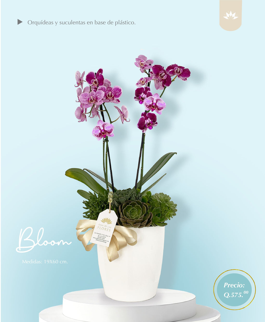 Arreglo Bloom 19x60 cm