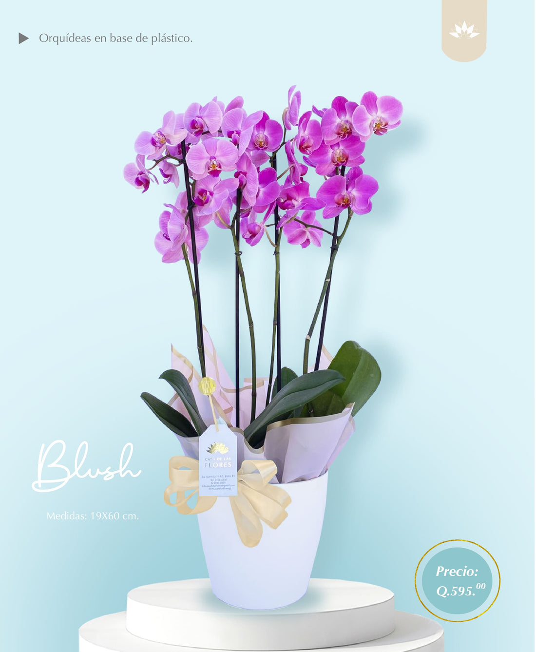 Arreglo Blush 19x60 cm