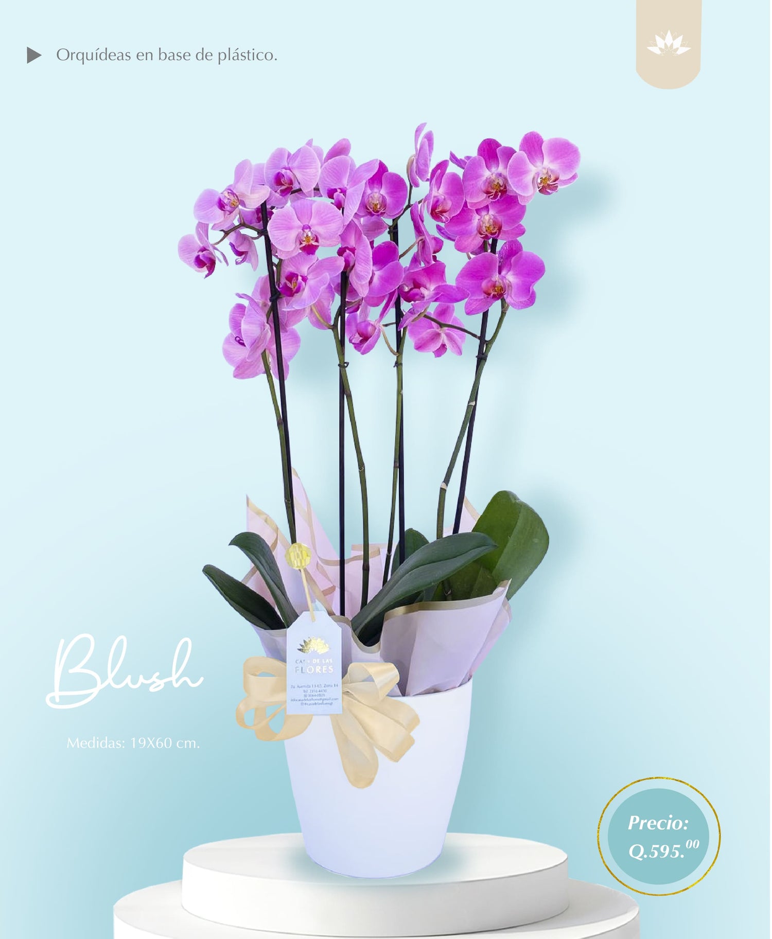 Arreglo Blush 19x60 cm