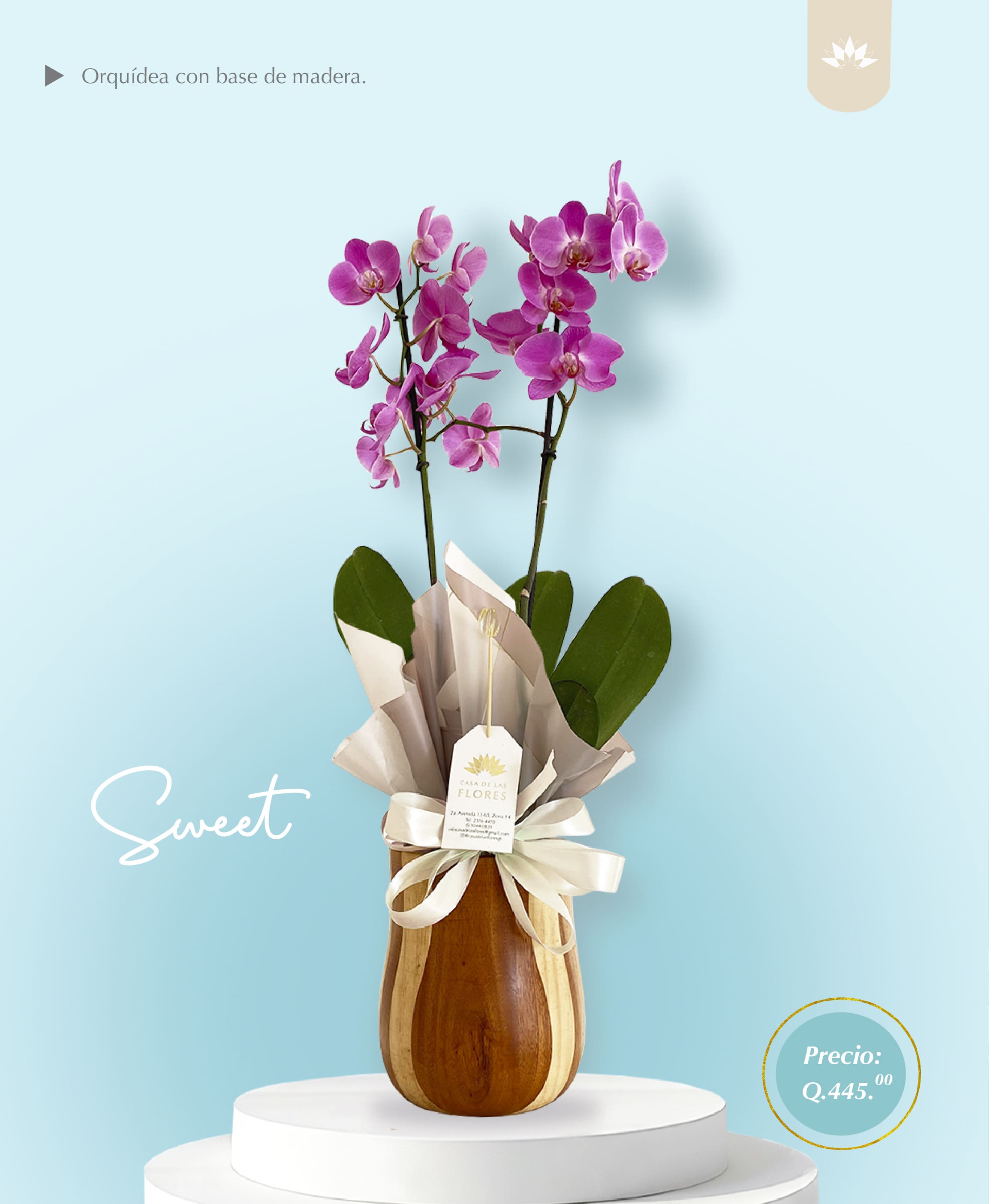 Arreglo Sweet (TEST)