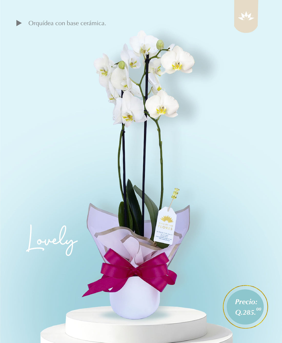 Arreglo Lovely