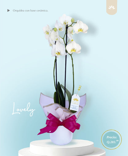 Orquídea de un tallo